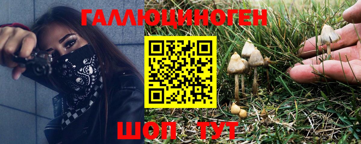 Псилоцибиновые грибы Psilocybine cubensis  Вход с VPN  Воронеж 